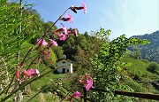 23 La bianca chiesetta